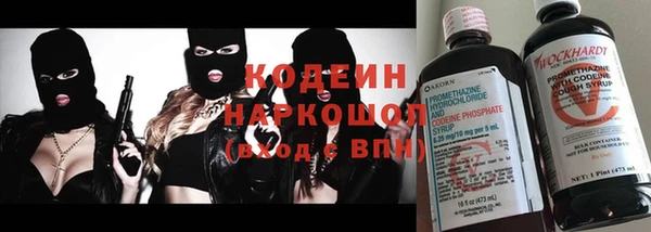 шишки Инсар