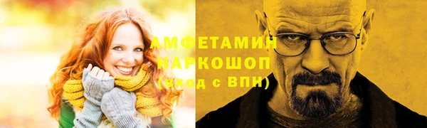 шишки Инсар