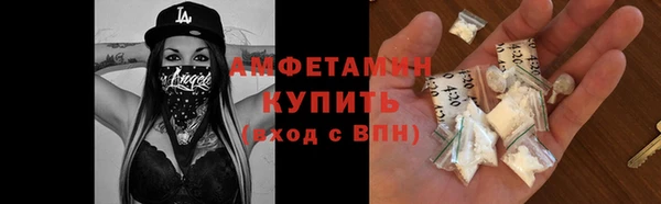 шишки Инсар