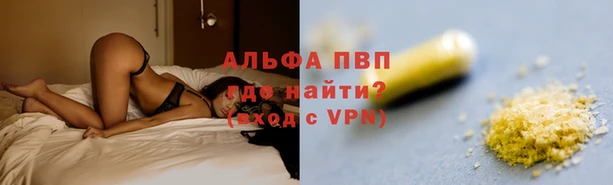 PSILOCYBIN Каменногорск