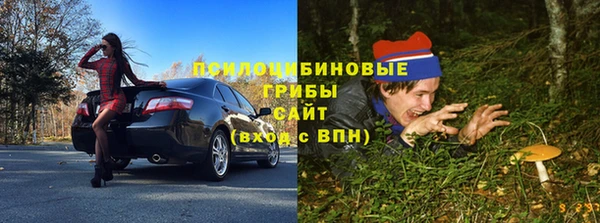 шишки Инсар