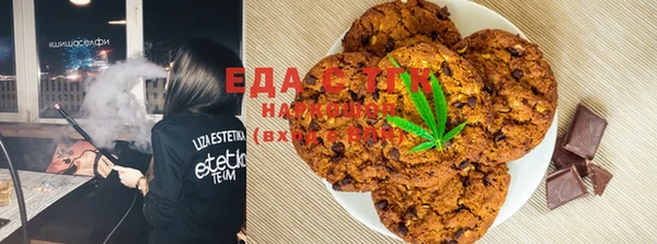 шишки Инсар