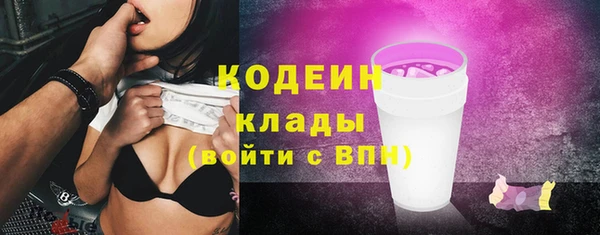 шишки Инсар