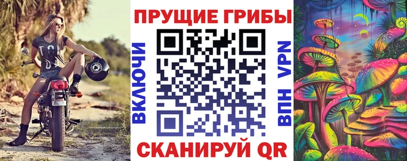 Купить  Мытищи  Галлюциногенные грибы MAGIC MUSHROOMS
